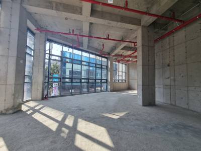 부산광역시 부산진구 양정동 271-54 상가