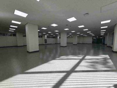 부산광역시 중구 중앙동4가 77-5 KT 중부산지점 상가