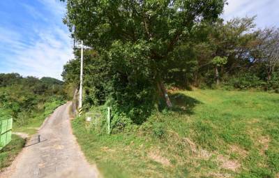 부산광역시 기장군 정관읍 월평리 산24 건물