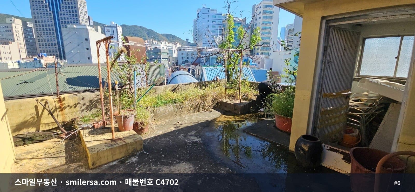 부전시장 인근 4층 건물 매매, 다양한 업종 검토 가능 썸네일 6