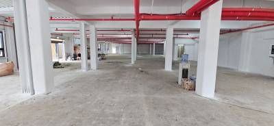 부산광역시 수영구 망미동 203-3 상가